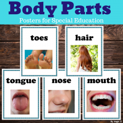 Body Parts Posters for Classroom Decor and Speech Therapy